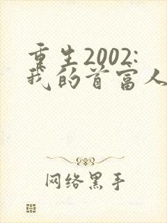 重生2002:我的首富人生全本阅读