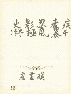 火影忍者疾风传:终极风暴4