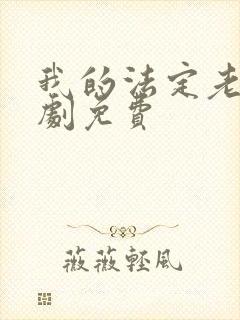 我的法定老公泰剧免费