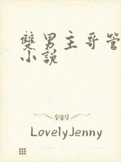 双男主哥管弟的小说