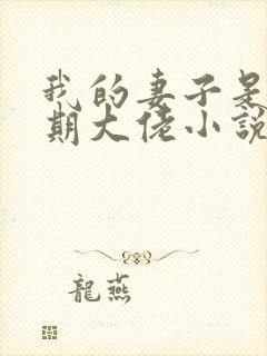 我的妻子是大乘期大佬小说第一部