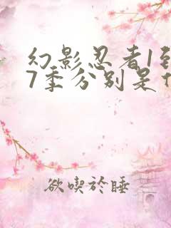 幻影忍者1到17季分别是什么