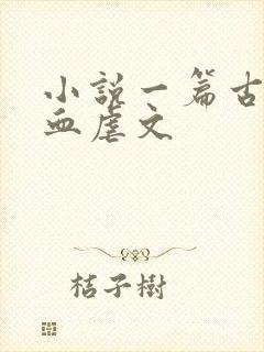 小说一篇古早狗血虐文