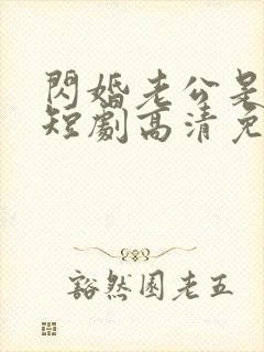 闪婚老公是豪门短剧高清免费播放