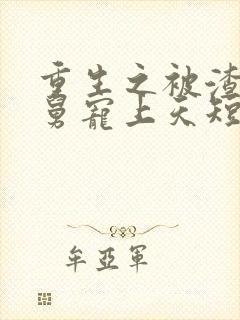 重生之被渣男舅舅宠上天短剧