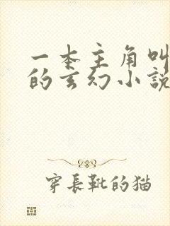 一本主角叫林立的玄幻小说