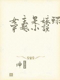 女主是嫁鳏夫的穿越小说