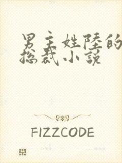 男主姓陆的所有总裁小说