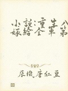 小说:重生八零嫁给全军第一硬汉