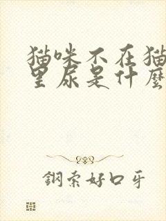 猫咪不在猫砂盆里尿是什么原因