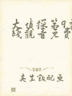 大侦探第9季在线观看免费版高清