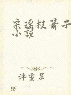 宋瑶枝萧子骞的小说