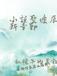 小说圣墟辰东最新章节