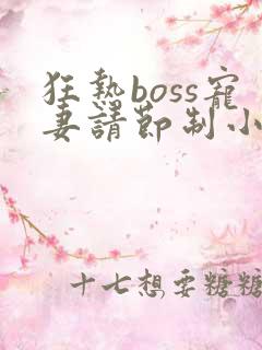 狂热boss宠妻请节制小说免费