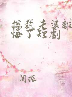 总裁老婆离婚后悔了短剧