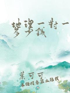 地理一对一辅导多少钱