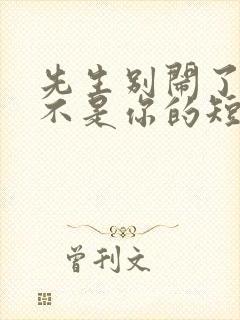 先生别闹了新娘不是你的短剧免费观看大结局