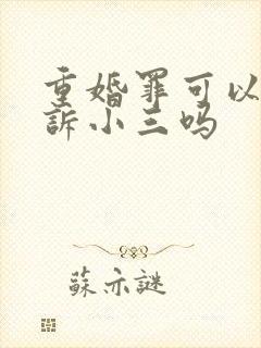 重婚罪可以只起诉小三吗