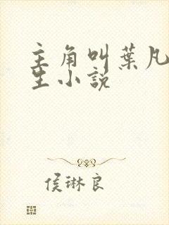 主角叫叶凡的重生小说