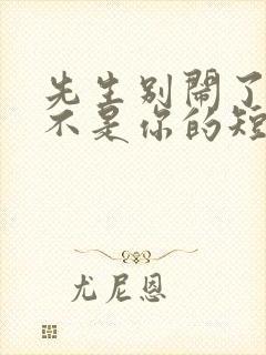 先生别闹了新娘不是你的短剧播放