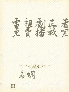 电视剧正者无敌免费播放完整版全集