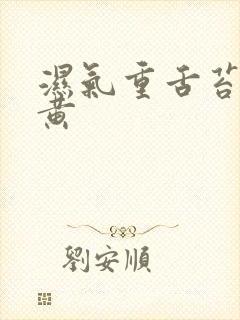 湿气重舌苔白厚黄