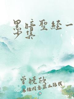 黑暗圣经一共多少集