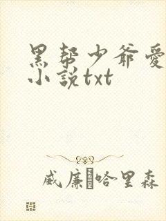 黑帮少爷爱上我小说txt