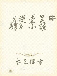 《逆袭吴所畏池骋》小说