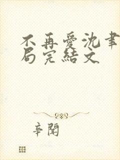 不再爱沈聿大结局完结文