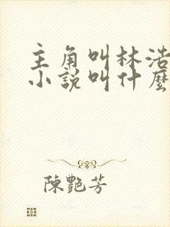 主角叫林浩然的小说叫什么