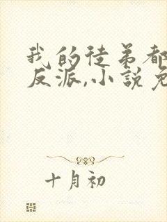 我的徒弟都是大反派,小说免费看