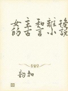 女主和离后二嫁的古言小说