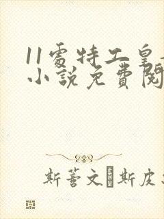 11处特工皇妃小说免费阅读全文