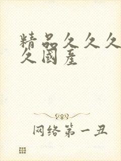 精品久久久久久久国产