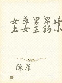 女尊男卑暗卫爱上女主的小说