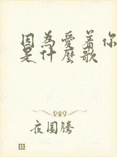 因为爱着你的爱是什么歌