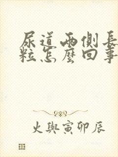 尿道两侧长小颗粒怎么回事