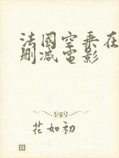 法国空乘在线无删减电影