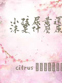 小孩尿黄还有泡沫是什么原因引起的