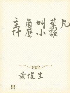 主角叫叶凡的是什么小说