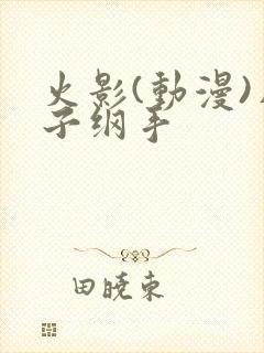 火影(动漫)片子纲手