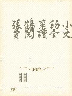 张鹤宁的小说免费阅读全文