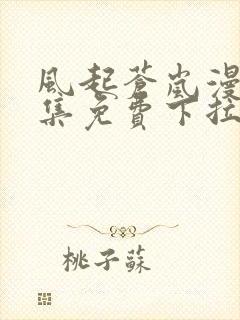 风起苍岚漫画全集免费下拉式六