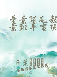 爱意随风起风止意难平电视剧