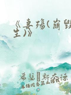 《妻殇(崩毁人生)》