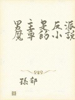 男主是反派魔头魔尊的小说