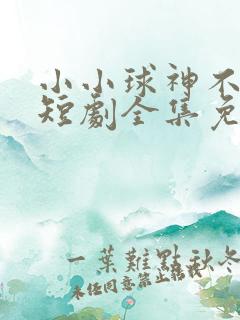 小小球神不好惹短剧全集免费软件