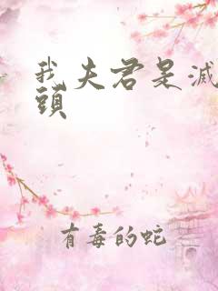 我夫君是灭世魔头