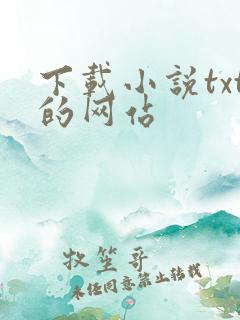 下载小说txt的网站